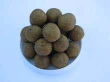 Load image into Gallery viewer, Bio